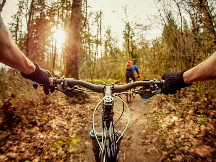 Balade en vélo de deux personnes en forêt au camping avec activités en bourgogne