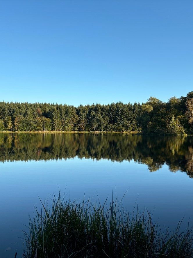 étang du camping en bourgogne