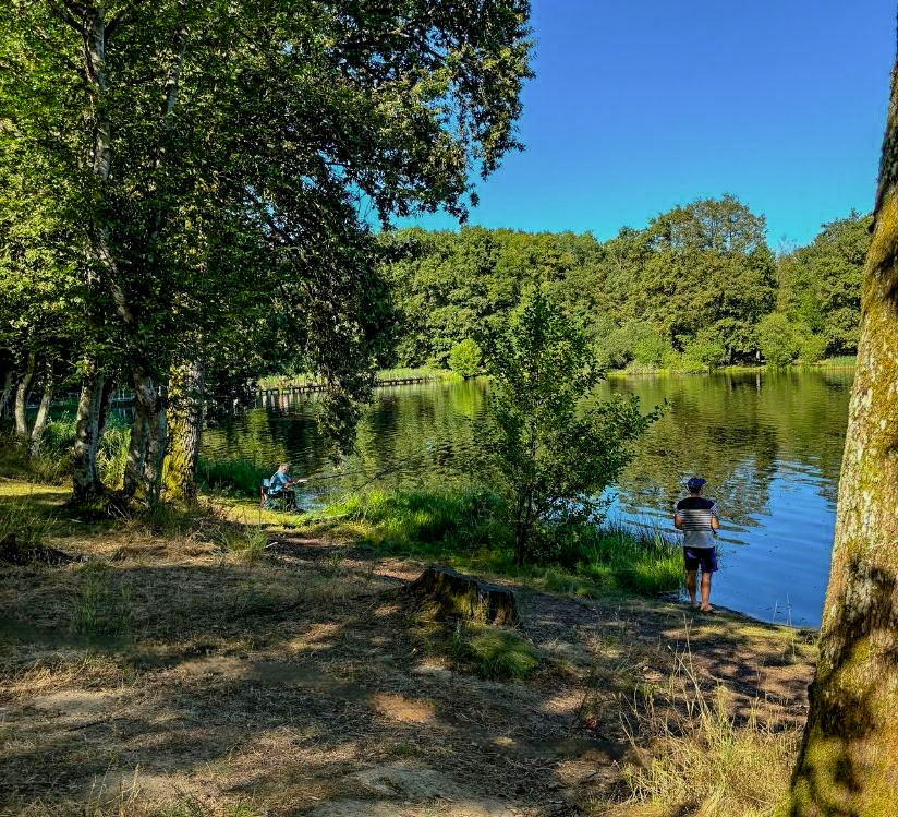 jeune pêcheur qui profite du beau temps au camping l'étang du merle en bourgogne