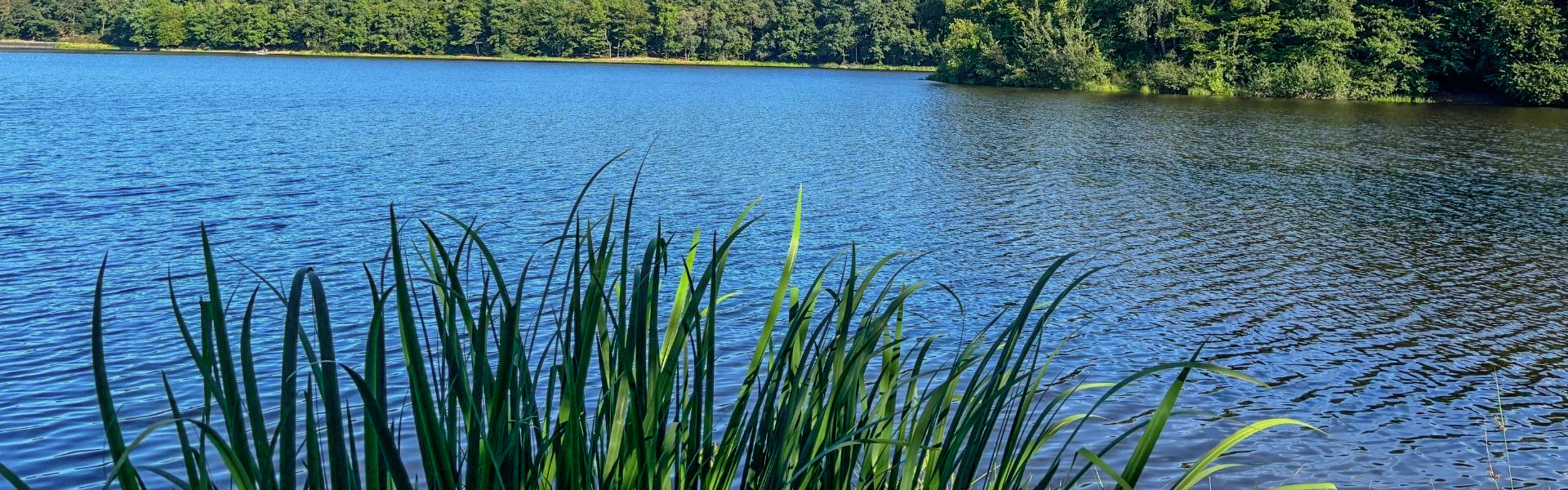 l'étang du camping en bourgogne