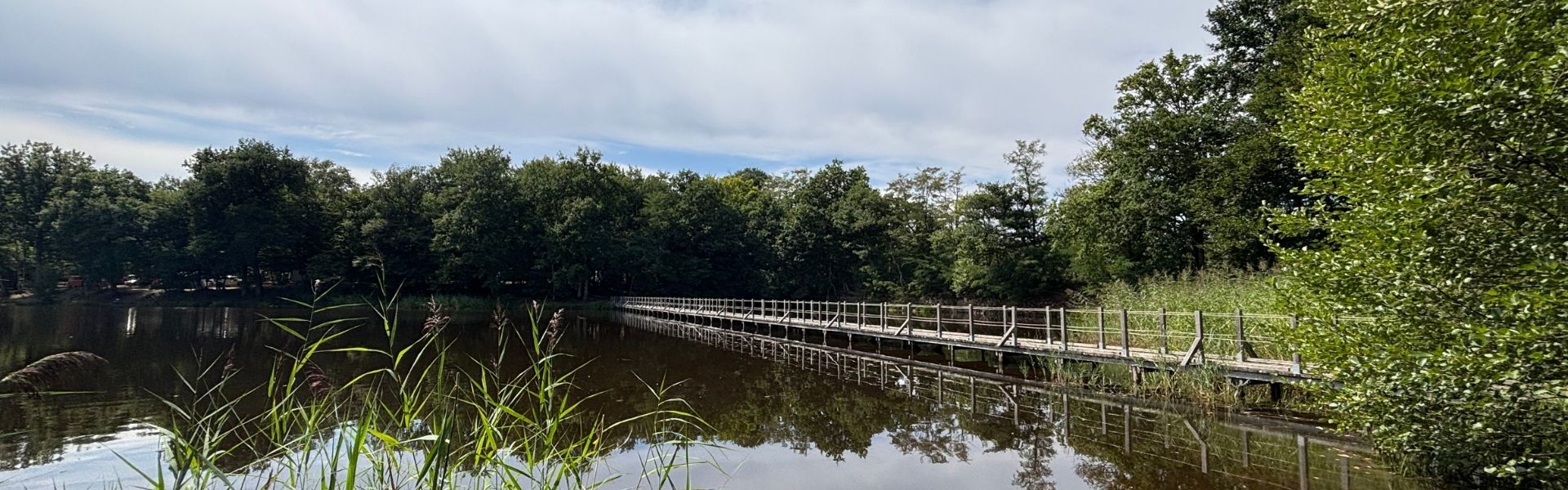 mention légales camping l'étang du merle en bourgogne