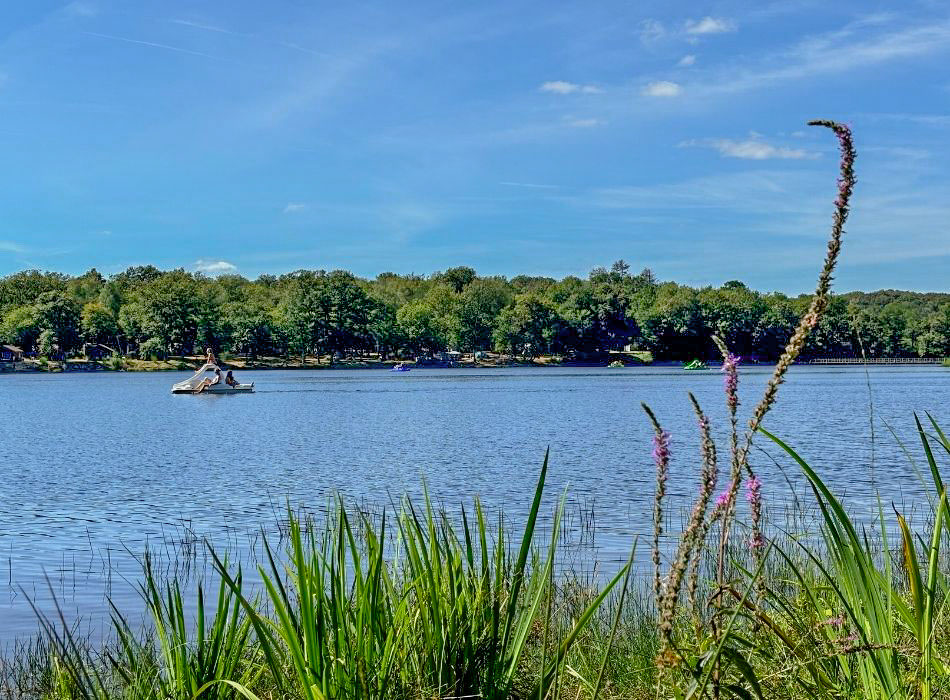 pédalo dans l'étang depuis le camping