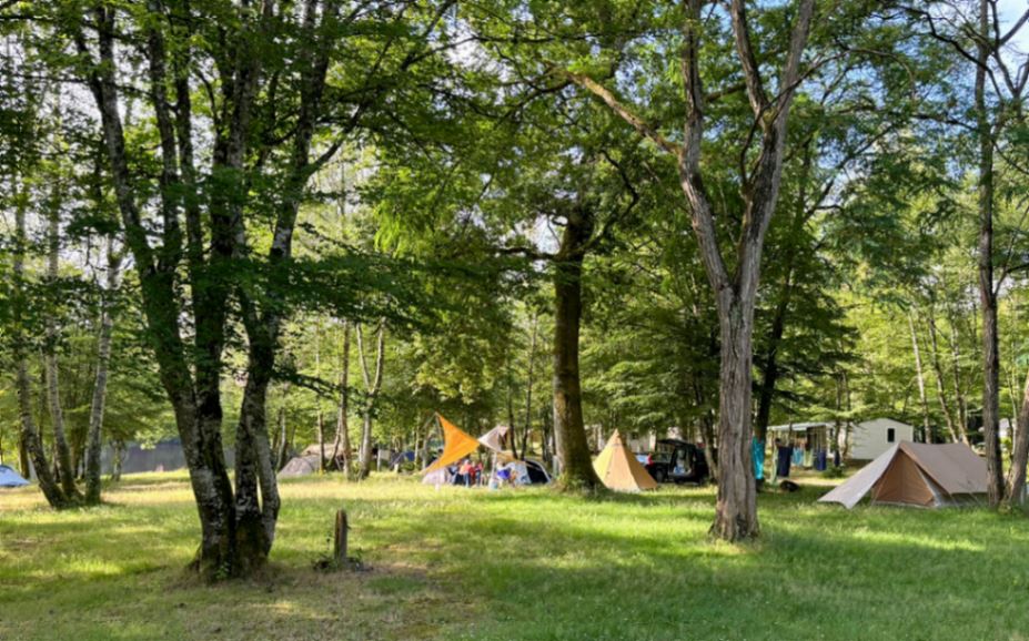 plusieurs tentes sur les emplacements face à l'étang
