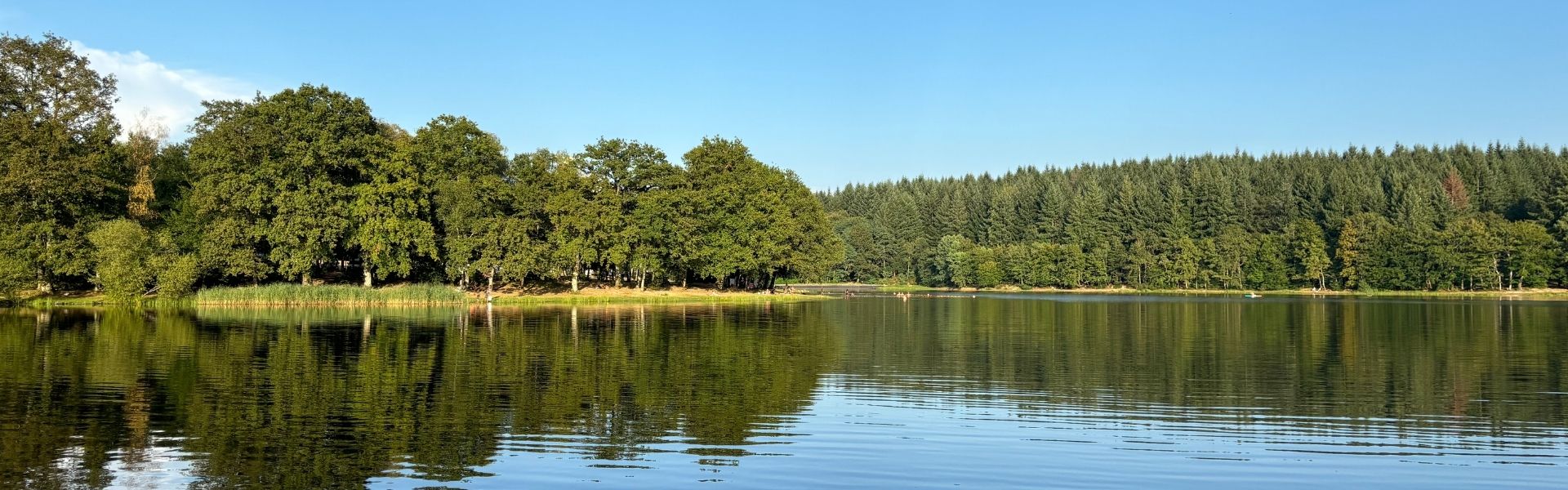 politique de confidentialité du camping l'étang du merle