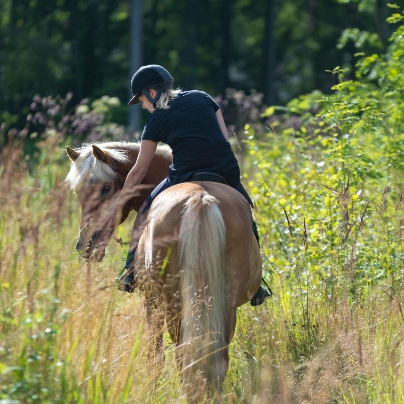 une personne sur un cheval de dos qui font une balade près de nevers