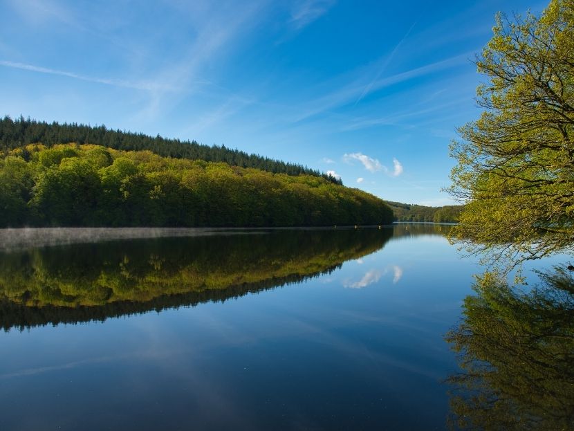 vue d'un lac en bougogne en été activités en bourgogne